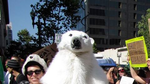 Garra helada, mascota del Centro por la Diversidad Biológica, intentó llamar la atención sobre perforaciones petroleras en el Polo Norte.