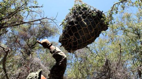 Un agente del MET da la señal a un helicóptero de la unidad para que levante vuelo con varias de las plantas incautadas en el parque estatal Topanga.