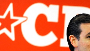 De origen cubano, Cruz se autocalifica como ultra conservador y se opone a cualquier programa que beneficie a indocumentados.