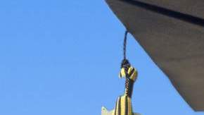 Entre los requisitos para calificar para la acción diferida figura  el estar estudiando,  haber recibido el diploma de educación secundaria o  ser graduado universitario.