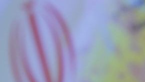 IM_20120808_IMPORT01_308089917