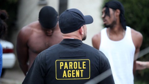 En base a las tendencias observadas en los últimos años, las pandillas continuarán ampliando sus actividades.