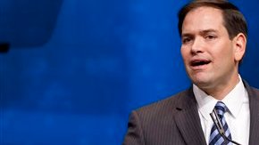 La medida es similar a la propuesta a nivel federal por Marco Rubio.