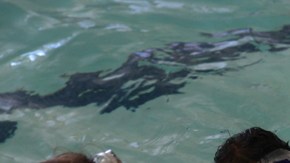 Estas actividades ayudan a aumentar la autoestima.