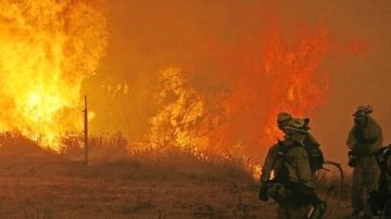 En una foto del 9 de agosto, bomberos estatales atacan las llamas en el Norte del Condado de San Diego.