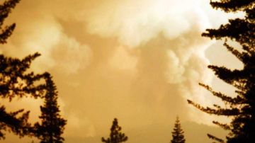 Incendio forestal al norte de California.