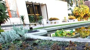 Se calcula que los daños provocados al Balboa Park de San Diego ascienden a unos 1$0 mil.