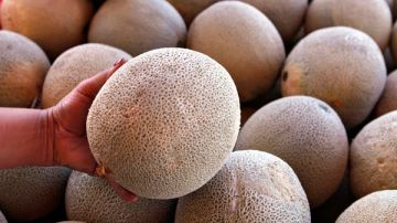 Las autoridades de salud monitorean el brote de listeriosis por melones contaminados.