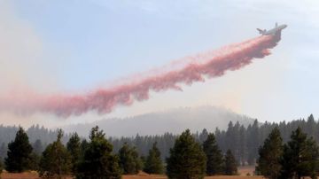 Varios incendios se encuentran activos en los estados occidentales de California, Oregon, Washington e Idaho, lo que ha forzado a cientos de personas a evacuar sus propiedades.