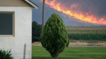 Detalles de un incendio forestal en Hansen, Idaho, donde se dio la orden de evacuar aproximadamente 350 casas.
