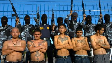 Un grupo de presuntos pandilleros detenidos en Honduras. En 2006 se estimaba que existían unos cinco mil integrantes de las 'maras'.