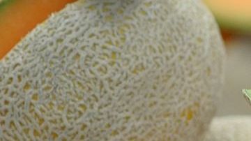 A la fecha se identificó al melón del suroeste de Indiana como fuente del brote.