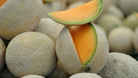 A la fecha se identificó al melón del suroeste de Indiana como fuente del brote.