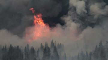 Casi 1,900 bomberos luchan contra el fuego en un terreno empinado con densos bosques, de difícil acceso.