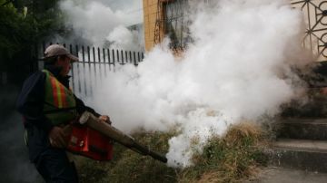 Autoridades están tomando medidas para combatir y detener los casos de dengue en El Salvador.