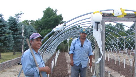 Trabajadores de un vivero en Illinois.
