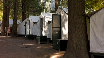 Área de campamento en Yosemite donde pudo darse el contagio.