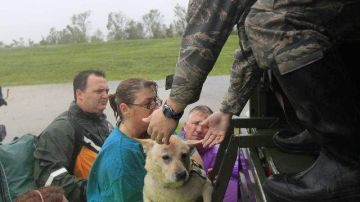 Unos vecinos y sus mascotas  fueron rescatados de sus casas inundadas en un camión de la Guardia Nacional de Louisiana, después que las lluvias inundaron viviendas en Braithwaite.