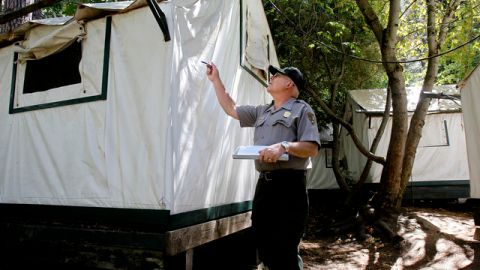 Se advirtió a los visitantes que se alojaron en Curry Village del Parque Yosemite durante los meses de junio, julio o agosto.