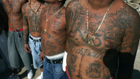 Miembros de la Mara Salvatrucha muestran sus cuerpos tatuados que hablan de su lealtad con la organización.