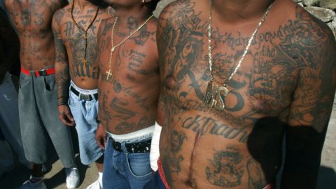 Miembros de la Mara Salvatrucha muestran sus cuerpos tatuados que hablan de su lealtad con la organización.