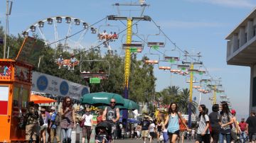 La Feria del Condado de Los Ángeles dio inicio ayer lunes.
