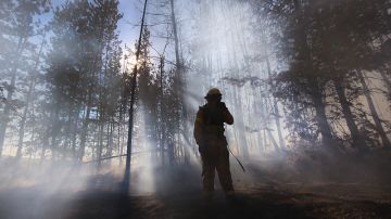 Más de 1,200 bomberos luchan contra los incendios del Condado Colusa, conocidos como 'Sixteen Complex'.