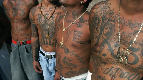Miembros de la Mara Salvatrucha muestran sus cuerpos tatuados que hablan de su lealtad con la organización.