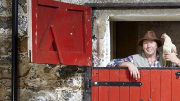 Archie, el toro más bajito del mundo.