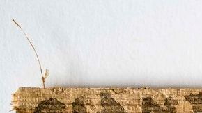 El papiro con el controversial diálogo mide apenas 8 x 4 centímetros.