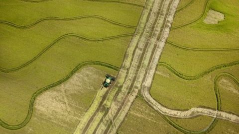 En la foto, una máquina cosecha arroz cerca de Tucker, Arkansas. Funcionarios de la FDA dicen que no han encontrado evidencia que sugiera que el arroz no es seguro para comer.