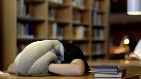 La almohada avestruz ofrece un microambiente en el que se puede crear un espacio privado.