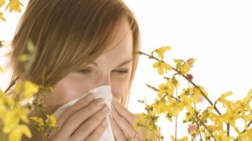 El polvo y el polen de las flores y los árboles son los principal causantes de las alergias.