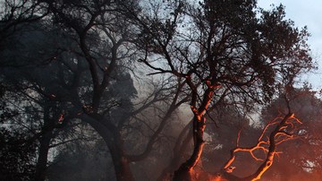 Una edificación en llamas por el incendio que comenzó el domingo, en la calle Tierra Del Sol, cerca de San Diego.