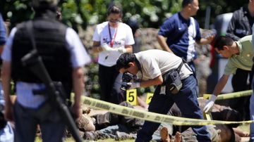 Trabajadores forenses realizan el levantamiento de varios cadáveres tras un nuevo enfrentamiento armado en México.