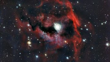 Fotografía facilitada por el Observatorio Austral Europeo de una nueva imagen de la cabeza de una "gaviota cósmica".