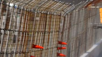 El Nascar Series México buscará llegar al público latino en Estados Unidos.