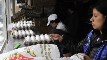 Desde junio pasado el costo del huevo se elevó a causa del brote de gripa aviar.