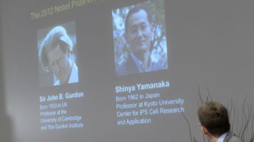 Thomas Perlmann muestra en la pantalla las fotos de los ganadores, John B. Gurdon y Shinya Yamanaka.
