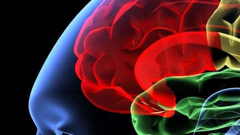 Esta inflamación de las meninges puede producir una amplia gama de síntomas, como fiebre, dolor de cabeza, o confusión.