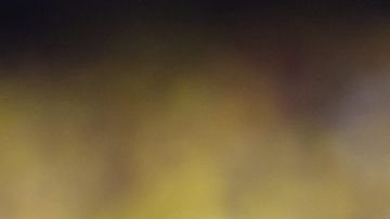 Dos golazos del delantero del Atlético de Madrid, Radamel Falcao, bastaron para hacer vibrar a Colombia.