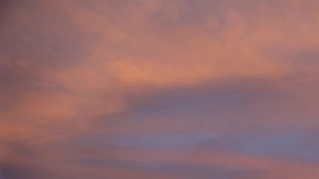 Los Gigantes estiran sus músculos antes de comenzar a las prácticas de anoche en el Busch Stadium.