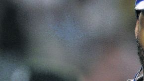 Matt Kemp quiere llegar entero a las prácticas primaverales.