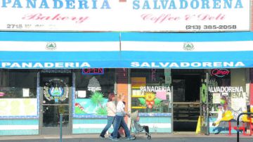 El gobierno de El Salvador instaló  el Concejo Nacional para la Protección y Desarrollo de la Persona Migrante y sus Familiares, pero no todas las organizaciones en el exterior están conformes.