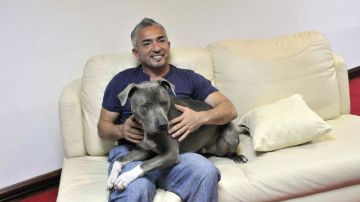 El entrenador de perros, César Millán, mundialmente conocido como "El Encantador de Perros".