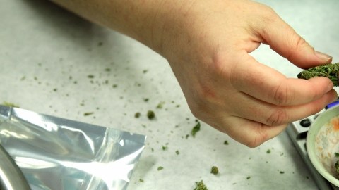 Los electores de la ciudad podrán decidir en torno al futuro de los  dispensarios de marihuana en las elecciones de mayo del 2013.