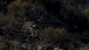 Imagen de archivo que muestra a un grupo de bomberos tratando de apagar un incendio en el bosque nacional de Angeles al norte de Azusa, California.