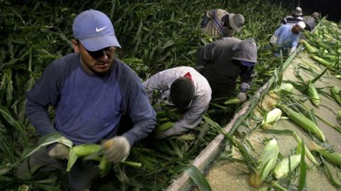 Empresarios afirman que si la economía de EEUU necesita  inmigrantes se les debe  permitir trabajar legalmente.