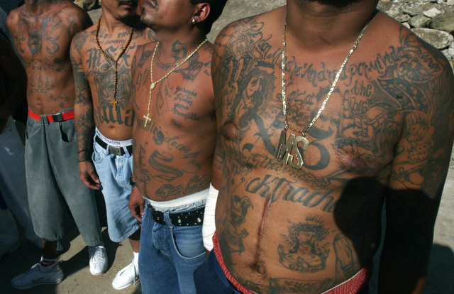 Miembros de la Mara Salvatrucha muestran sus cuerpos tatuados que hablan de su lealtad con la organización.