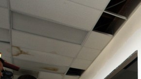 Varios trabajadores inmigrantes mexicanos continúan esperando soluciones y recompensas por parte del Gobierno.